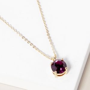 Gold Purple Birthstone Pendant Necklace Jewelry Accessories February